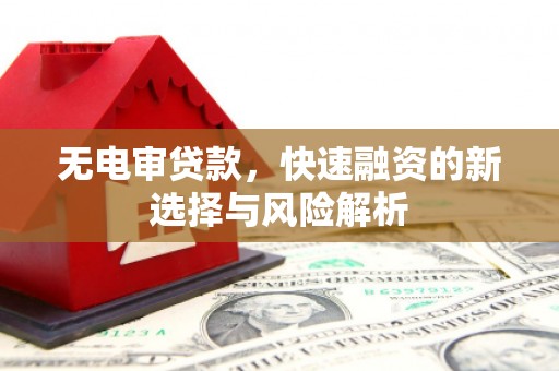津市无电审贷款，快速融资的新选择与风险解析