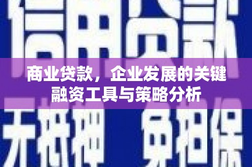 兰山商业贷款，企业发展的关键融资工具与策略分析