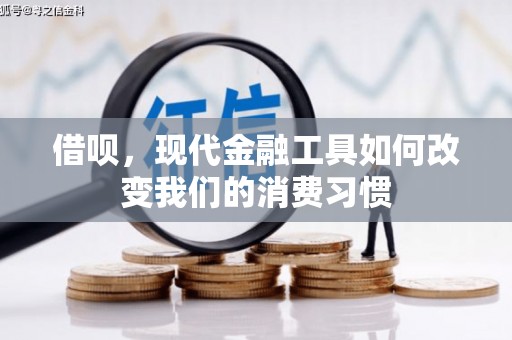 板芙借呗，现代金融工具如何改变我们的消费习惯