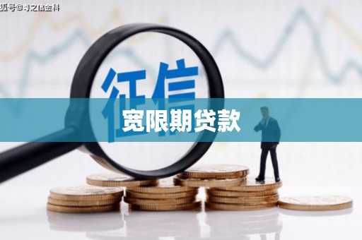 卫东宽限期贷款