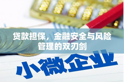 宏伟贷款担保，金融安全与风险管理的双刃剑