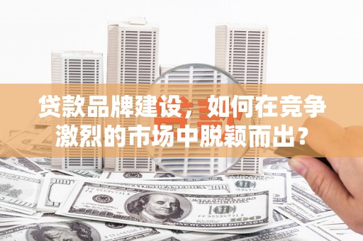 金东贷款品牌建设，如何在竞争激烈的市场中脱颖而出？