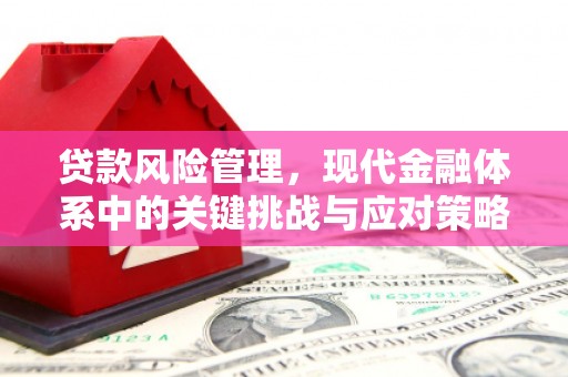 莿桐贷款风险管理，现代金融体系中的关键挑战与应对策略
