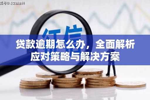 思茅贷款逾期怎么办，全面解析应对策略与解决方案