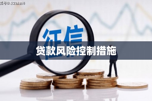 大宁贷款风险控制措施
