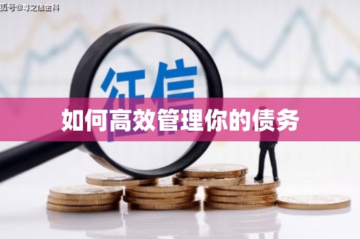 仁寿如何高效管理你的债务