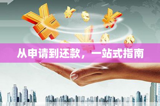 东台从申请到还款，一站式指南