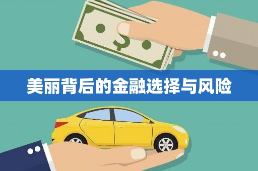 薛城美丽背后的金融选择与风险