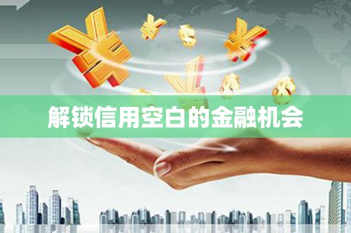 嘉禾解锁信用空白的金融机会
