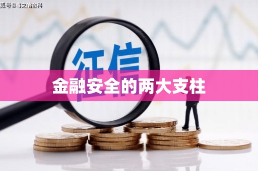 长兴金融安全的两大支柱