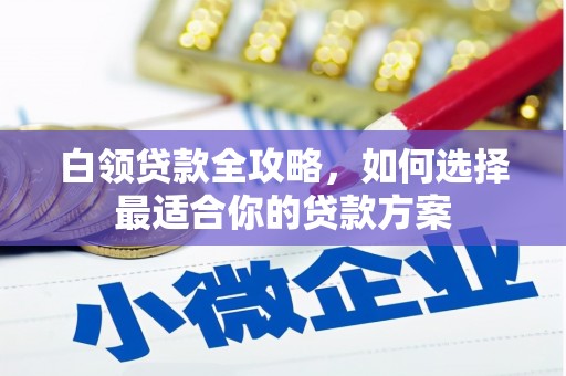 凤阳白领贷款全攻略，如何选择最适合你的贷款方案