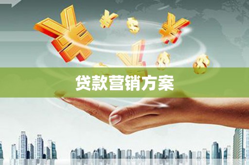 卧龙贷款营销方案