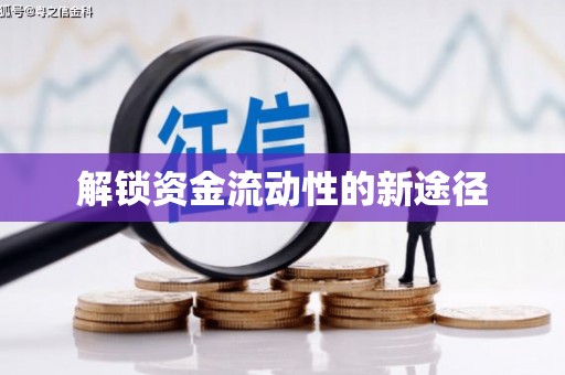 巧家解锁资金流动性的新途径