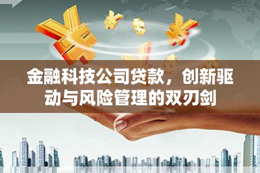 营口金融科技公司贷款，创新驱动与风险管理的双刃剑