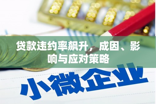兴宾贷款违约率飙升，成因、影响与应对策略