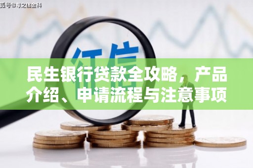 天元民生银行贷款全攻略，产品介绍、申请流程与注意事项